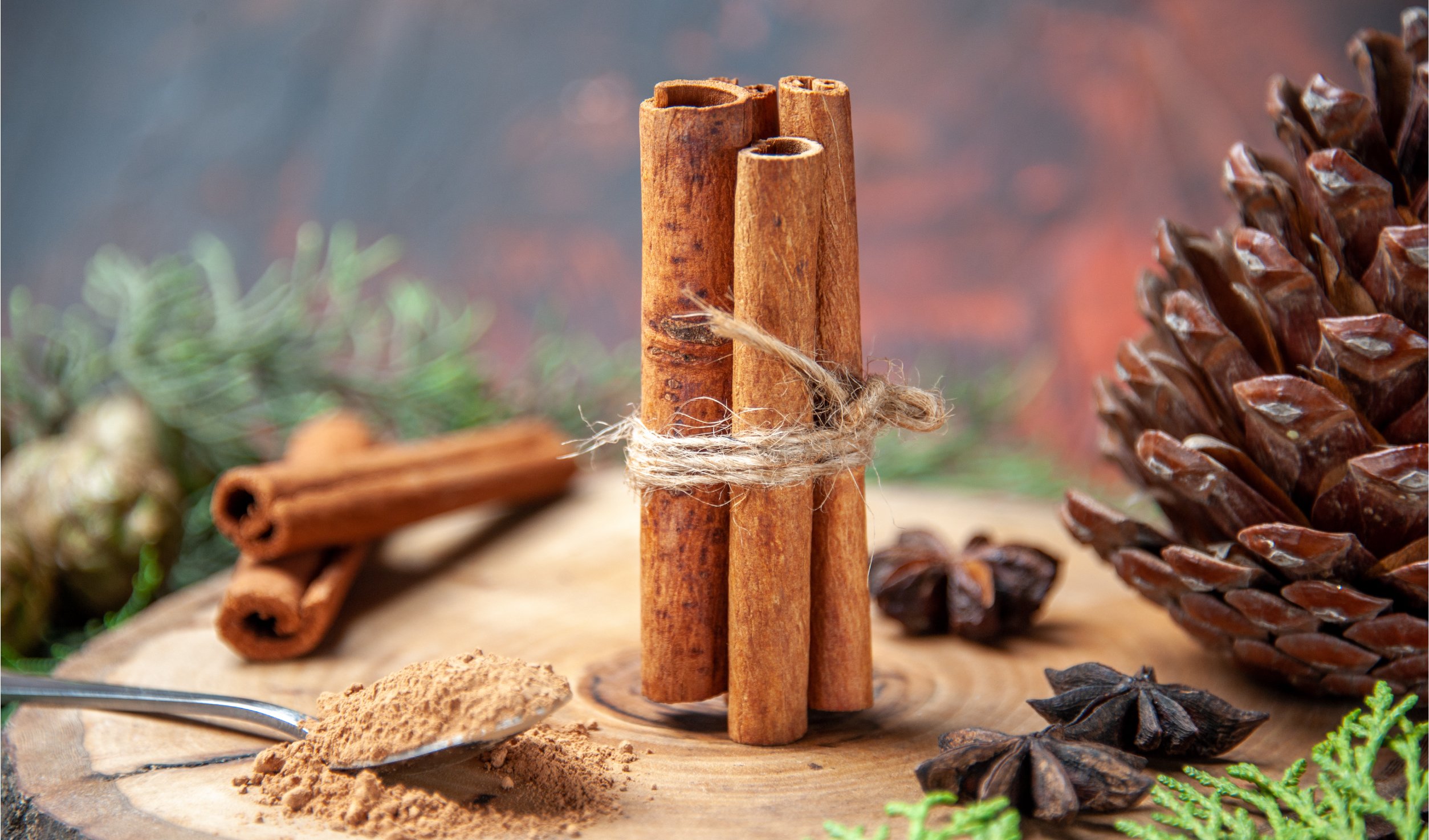 front-view-cinnamon-sticks-cinnamon-powders-pinecone-anises-wood-board-dark-background_NBLOG