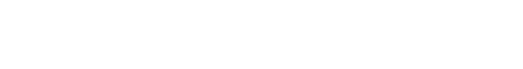 Christopher A. Lee CPA, LLC logo-02-02-02