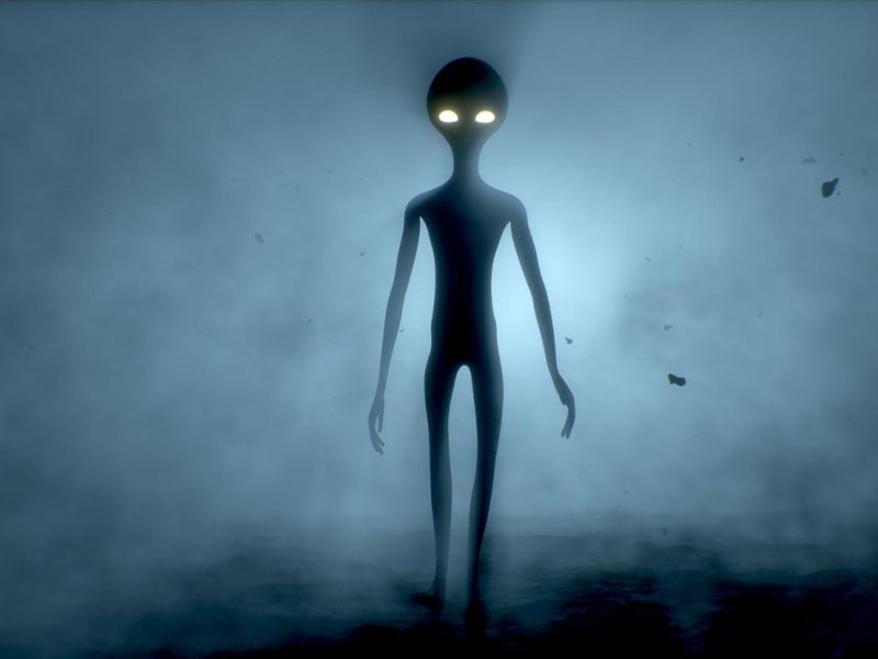 it-might-seem-human-but-in-truth-it-isnt-even-close