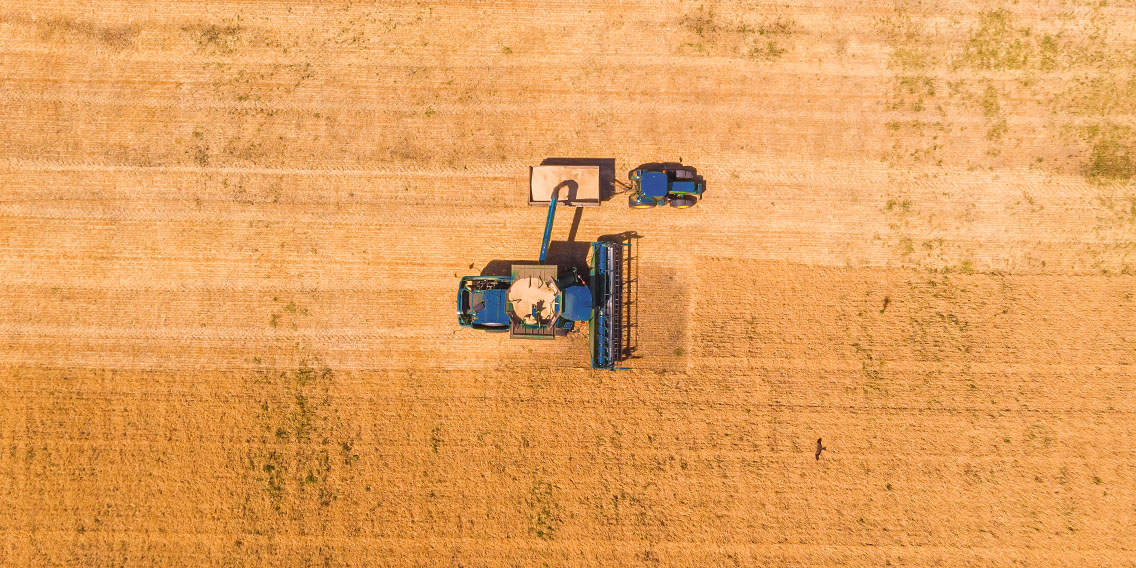 Why Data Harvesting Might Be What Your Firm Needs