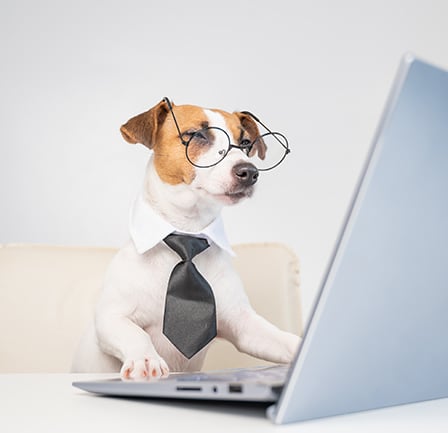 outsourced-finance-and-accounting-services-powered-by-automation-The-Evolution-of-Outsourcing