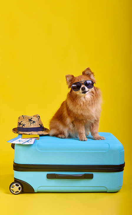too-late-for-summer-vacation-not-with-botkeepers-timing-Lets-Talk-About-Real-PTO